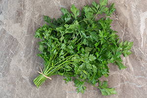 Coriander leaves