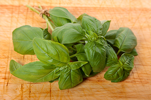Basil Leaves