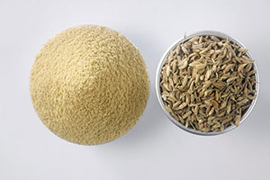 Fennel Seeds