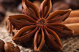 Star Anise