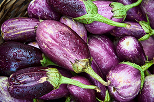 Egg plants