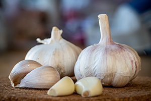 Garlic