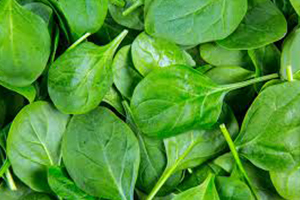 Spinach