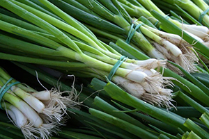 Spring onions